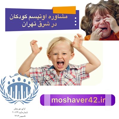 مشاوره اوتیسم کودکان در شرق تهران